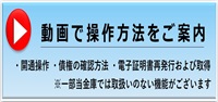 動画